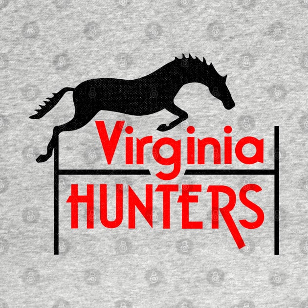 Defunct Virginia Hunters AFA Football 1981 by LocalZonly